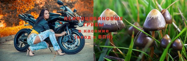 герыч Медногорск
