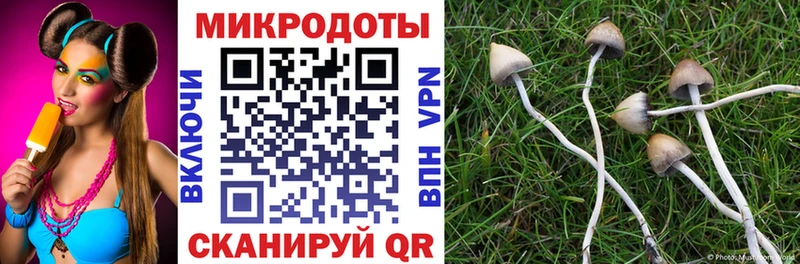 Купить закладки  Кизел  Галлюциногенные грибы MAGIC MUSHROOMS 